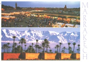 Palm Trees and Snow