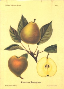 pears